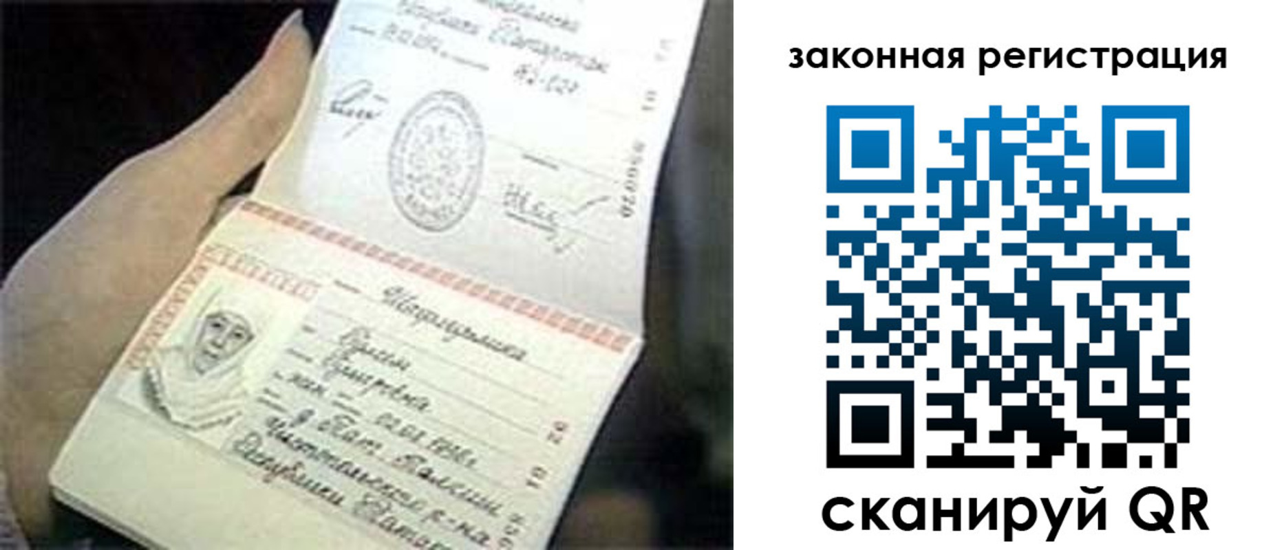 прописка для школы в Тольятти